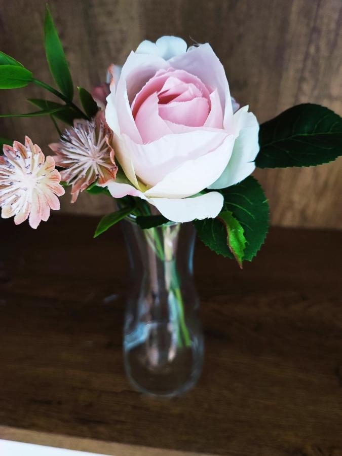 布达佩斯White Rose Studio Basement公寓 外观 照片